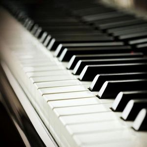 毛片A五毛片亚洲
