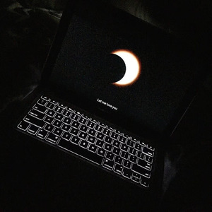 毛片A五毛片亚洲
