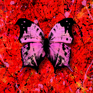 毛片A五毛片亚洲
