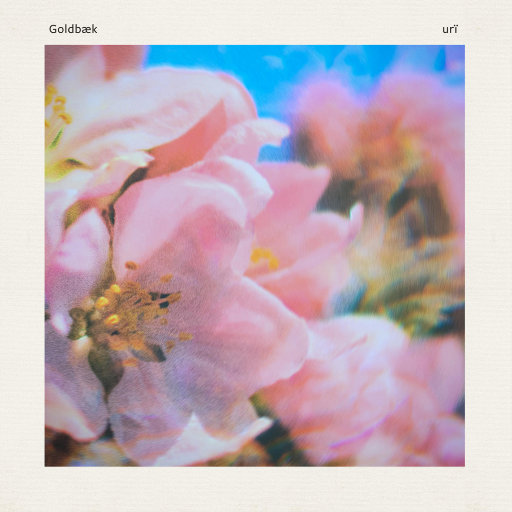 毛片A五毛片亚洲
